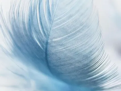 Meditative Bansuri: Sounds for Inner Peace