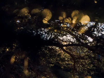 Meditative Bells (A Binaural Beat Journey)