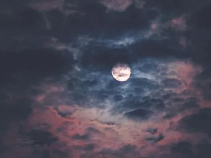 Meditative Dreams: Calm