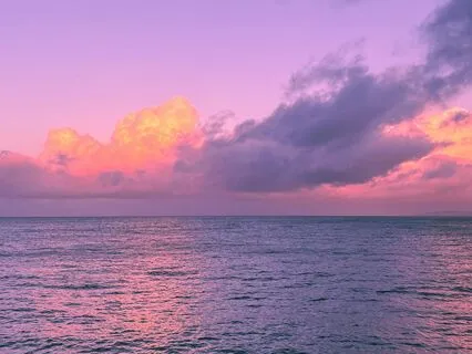 Meditative Flute Wonders