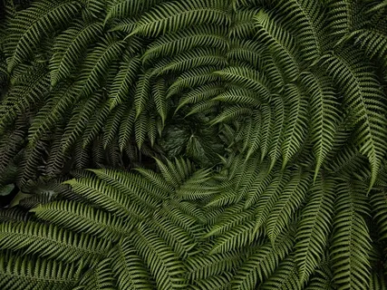 Meditative - Green Chakra For The Heart - Key Of F