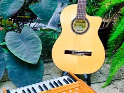 Meditative Harmonium With Spanish Guitar