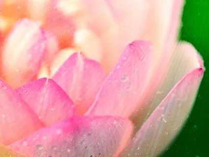 Meditative Healing Prayer