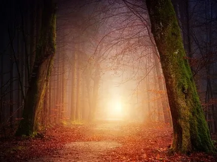 Meditative Immersion