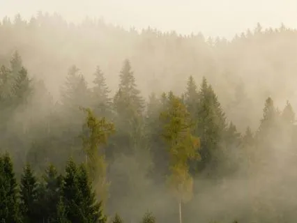 Meditative Journey: Breathwork To Balance Your Elements