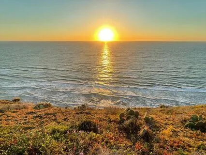Meditative Journey Up The Golden Staircase