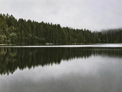 Meditative Layers | Yoga | QiGong | Tai Chi