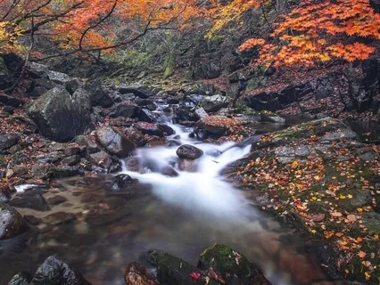 Meditative Mind - Babbling Brook (Relaxing Water Sounds)