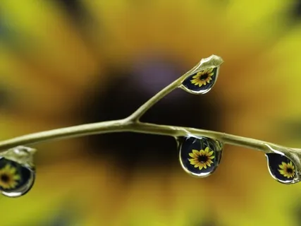 Meditative Mind - Deeply Relaxing Soundscape