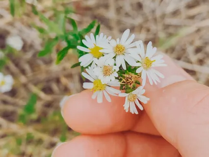 Meditative Moment: I Am One With My Good