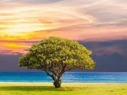 Meditative Musik & Affirmation für mehr "Selbstvertrauen"