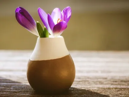 Meditative Poem: "The Vessel"