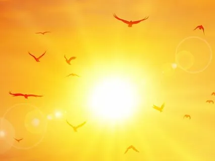 Meditative Prayer Into Sleep