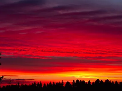 Meditative - Red Chakra For The Root - Key Of C