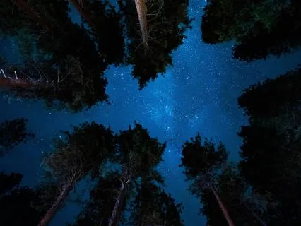 Meditative Sleep