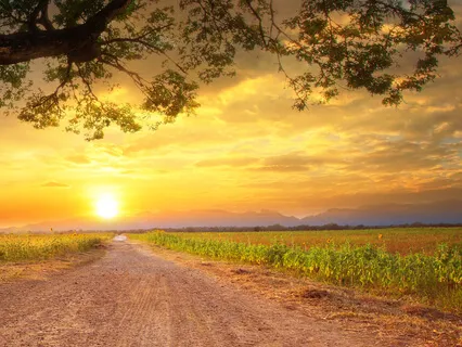 Meditative Song for Bringing Peace