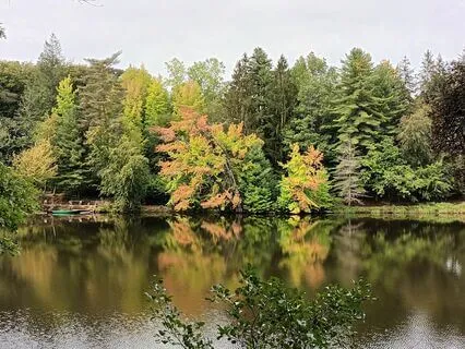 Meditative State (Brainwaves Entrainment)