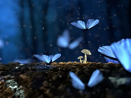 Meditative Storytime: Here & Now By Julia Denos