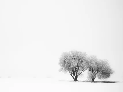 Meditative - White Chakra For The Crown - Key Of B