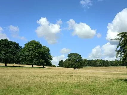 Meditation Two | Music For Meditation [5 Min]