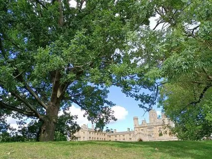 Meditation Three | Music For Meditation [10 Min]