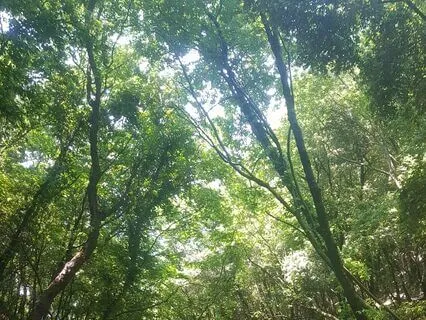 Meditation One | Music For Meditation [3 Min]