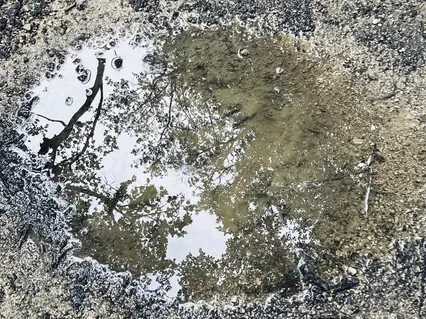 Méditer Cinq Minutes Sous La Pluie