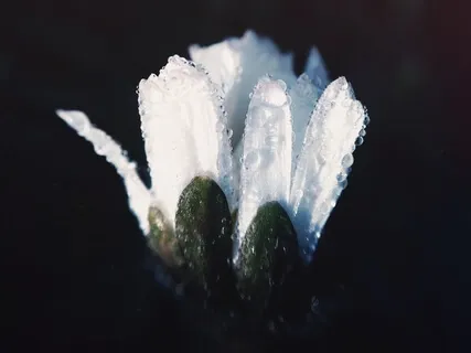 Practice For Divine Guidance