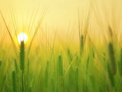 Meditive Soundscape Relaxing | Meditation Music