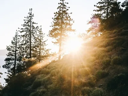 Mediumship - What Is It?