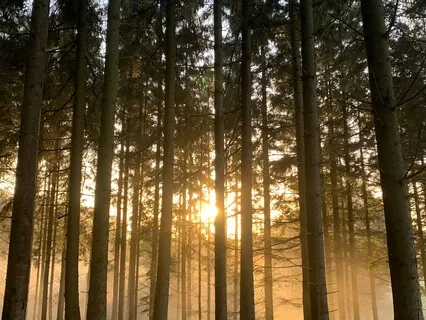 Metta (Lovingkindness) Prayer Tor The Anxious