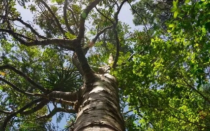 Medveten här och nu