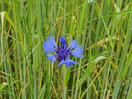 Medytacja łagodząca stres