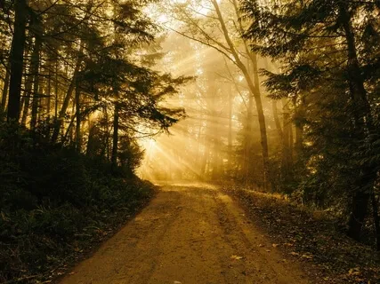 Medytacja Miłości - księga życia