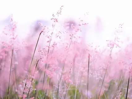 Medytacja Na Nadmierne Myślenie/Overthinking