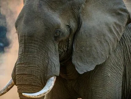 Meet Life’s “What Ifs” With Calm And Clarity