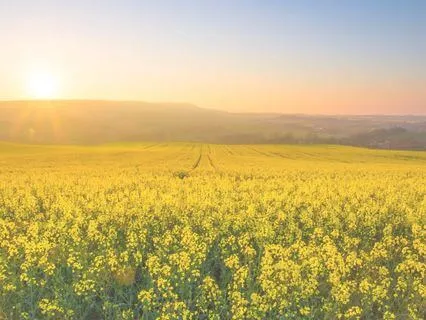 Meet The Child Within & Discover Your Heart’s Truest Desires