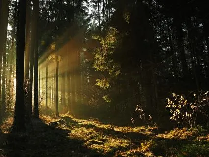 Meet The Feeling: A Practice For Emotions You Avoid