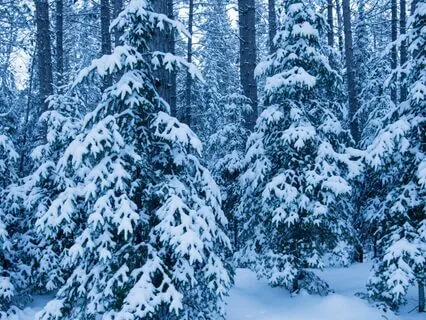 Meet The Wisdom Of Your Shadow: The Winter Solstice