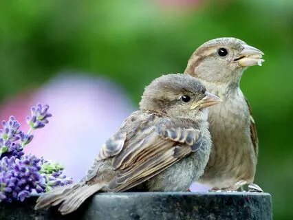 Meet Your Angel Within