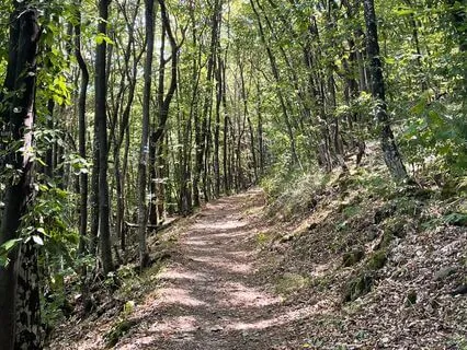 Meet Your Authentic Self