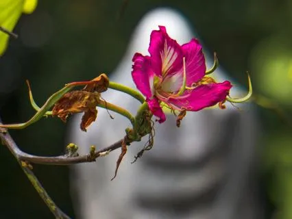 Meet Your DNA + Energy Activation