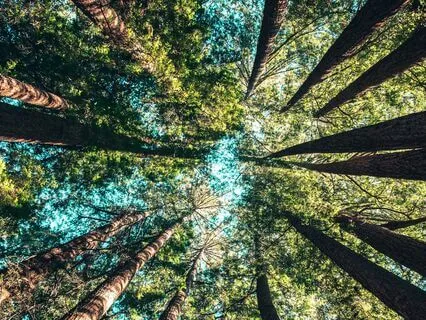 Meet Your Edge And Soften