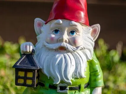 Meet Your Elemental Guardian