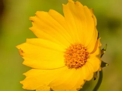 Meet Your Future Self & Align With Who You’re Becoming