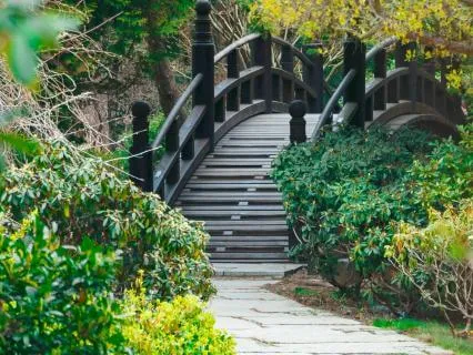 Meet Your Future Self: Guided Visualization For Clarity