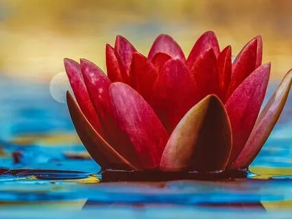 Meet Your Future Self