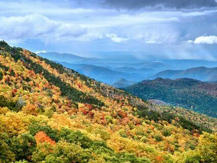 Meet Your Future Self