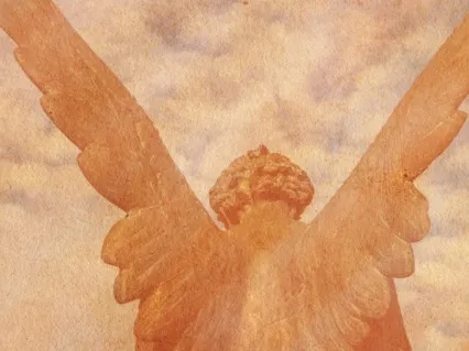 Meet Your Guardian Angel