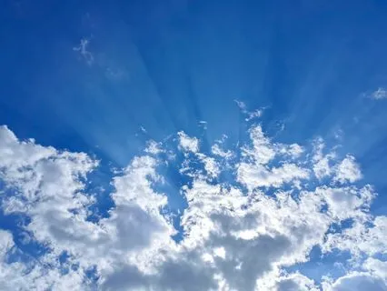 Meet Your Guardian Angel